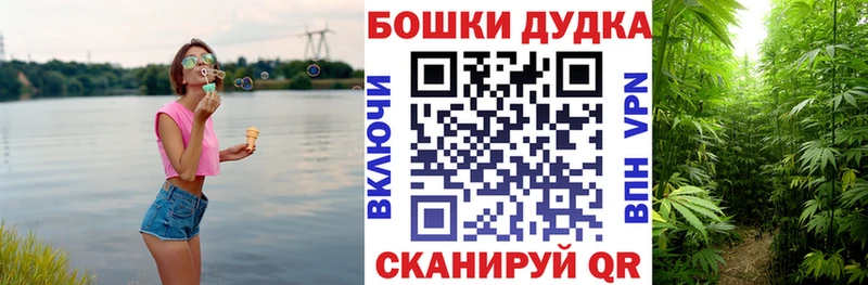 Шишки марихуана планчик ссылка на мегу как войти Кушва darknet клад закладки